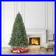 Holiday_Time_7_5_Color_Change_LED_Kennedy_Fir_Artificial_Christmas_Tree_New_01_fso