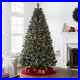 Holiday_Time_7_5ft_Pre_Lit_Glittering_Frost_Pine_Artificial_Christmas_Tree_350_01_ex