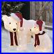 Holiday_WInter_Polar_Bears_LED_Lighted_Large_Outdoor_Christmas_Decor_NEW_01_rikn