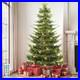 Home_7_5_ft_Pre_Lit_Grand_Duchess_Fir_Christmas_Tree_01_peva
