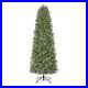 Home_Accents_7_5ft_Festive_Pine_Slim_LED_Pre_Lit_Artificial_Christmas_Tree_01_sqb