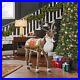 Home_Accents_Holiday_4_5_Ft_Animated_Reindeer_Christmas_Animatronic_New_01_clhy