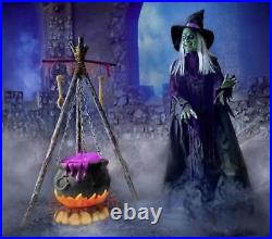 Home Accents Holiday 5 ft Witch Bubbling Cauldron LED FIRE Halloween Animatronic