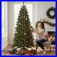 Home_Accents_Holiday_7_5_ft_Festive_Pine_LED_Pre_Lit_Christmas_Tree_T5_01_ju
