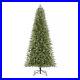 Home_Accents_Holiday_7_5_ft_Jackson_Noble_Slim_Christmas_Tree_W14N0211_01_qxcl