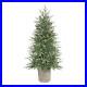 Home_Accents_Holiday_Christmas_Tree_4_5ft_Grand_Fir_Potted_with_Incandescent_Light_01_oi