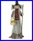 Home_Accents_Holiday_Dead_Water_Animated_Lethal_Lily_The_Witch_with_LED_READ_01_kca