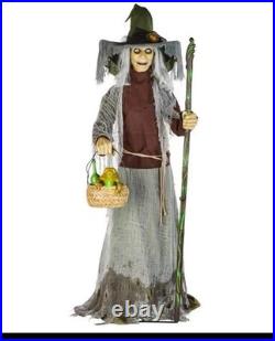 Home Accents Holiday Dead Water Animated Lethal Lily The Witch with LED READ