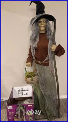 Home Accents Holiday Dead Water Animated Lethal Lily The Witch with LED READ
