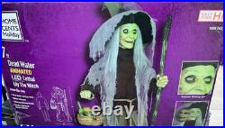 Home Accents Holiday Dead Water Animated Lethal Lily The Witch with LED READ