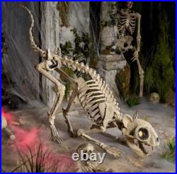 Home Accents Holiday Grave & Bones 5ft LED Skelly's Cat Timer Indoor/Outdoor