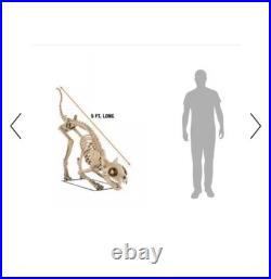 Home Accents Holiday Grave & Bones 5ft LED Skelly's Cat Timer Indoor/Outdoor