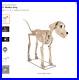 Home_Accents_Holiday_Halloween_Home_Depot_7_FT_Skelly_s_Dog_NEW_PRESALE_01_hlp