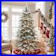 Home_Decorators_7_5_ft_Pre_Lit_Grand_Duchess_Fir_Christmas_Tree_01_fqfs