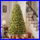 Home_Decorators_7_5_ft_Pre_Lit_Grand_Duchess_Twinkling_Balsam_Fir_LED_Tree_T27_01_rins