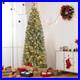 Home_Decorators_7_5_ft_Pre_Lit_LED_Grand_Duchess_Balsam_Fir_Christmas_Tree_01_md