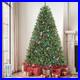 Home_Decorators_7_5_ft_Pre_Lit_LED_Grand_Duchess_Balsam_Fir_Christmas_Tree_01_tnr