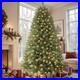 Home_Decorators_7_ft_Pre_Lit_Grand_Duchess_Twinkling_Balsam_Fir_LED_Tree_T27_01_ivgo