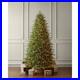Home_Decorators_9_ft_Pre_Lit_Grand_Duchess_Twinkling_Balsam_Fir_LED_Tree_T28_01_mlhj