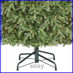 Home Decorators 9 ft. Pre-Lit Grand Duchess Twinkling Balsam Fir LED Tree T28