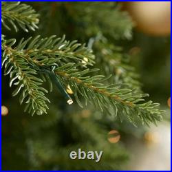 Home Decorators 9 ft. Pre-Lit Grand Duchess Twinkling Balsam Fir LED Tree T28