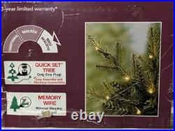 Home Decorators 9 ft. Pre-Lit Grand Duchess Twinkling Balsam Fir LED Tree T28