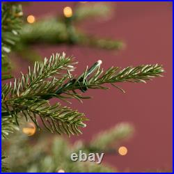 Home Decorators 9 ft. Pre-Lit Grand Duchess Twinkling Balsam Fir LED Tree T28