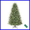 Home_Decorators_Collection_7_5_Ft_Grand_Duchess_Balsam_Pre_Lit_Christmas_Tree_01_lghu