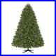 Home_Decorators_Collection_7_5_ft_Waldorf_Fir_Christmas_Tree_01_izwa