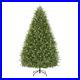 Home_Decorators_Collection_9_ft_Eastcastle_Balsam_Fir_LED_Christmas_Tree_01_xkof