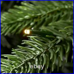 Home Decorators Collection 9 ft Eastcastle Balsam Fir LED Christmas Tree