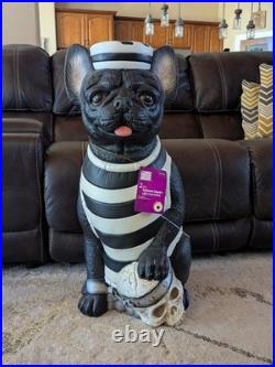 Home Depot 2.5 Ft French Bulldog Home Accents Halloween Dog Prisoner w Skull LED