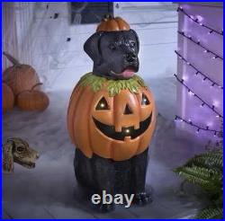 Home Depot? Black Labrador Lab Dog Pumpkin Blow Mold 2.5 ft 2025 Halloween