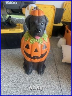 Home Depot? Black Labrador Lab Dog Pumpkin Blow Mold 2.5 ft 2025 Halloween