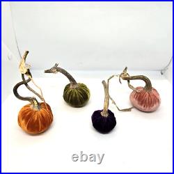 Hot Skwash Daria Lot of 4 Various Colors Velvet Pumpkins Real Stems SIGNED Hot Skwash Daria Lot of 4 Various Colors Velvet Pumpkins Real Stems SIGNED