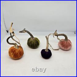Hot Skwash Daria Lot of 4 Various Colors Velvet Pumpkins Real Stems SIGNED Hot Skwash Daria Lot of 4 Various Colors Velvet Pumpkins Real Stems SIGNED