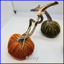 Hot Skwash Daria Lot of 4 Various Colors Velvet Pumpkins Real Stems SIGNED Hot Skwash Daria Lot of 4 Various Colors Velvet Pumpkins Real Stems SIGNED