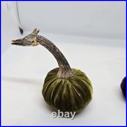 Hot Skwash Daria Lot of 4 Various Colors Velvet Pumpkins Real Stems SIGNED Hot Skwash Daria Lot of 4 Various Colors Velvet Pumpkins Real Stems SIGNED