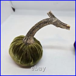 Hot Skwash Daria Lot of 4 Various Colors Velvet Pumpkins Real Stems SIGNED Hot Skwash Daria Lot of 4 Various Colors Velvet Pumpkins Real Stems SIGNED