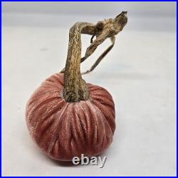 Hot Skwash Daria Lot of 4 Various Colors Velvet Pumpkins Real Stems SIGNED Hot Skwash Daria Lot of 4 Various Colors Velvet Pumpkins Real Stems SIGNED