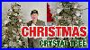 How_To_Decorate_A_Glam_Christmas_Tree_With_Crystals_Christmas_Decorations_2025_Ramon_At_Home_01_jy