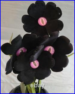 Hyde & Eek Halloween Preying Posies & Peeping Poppies Ghoulish Garden Plants