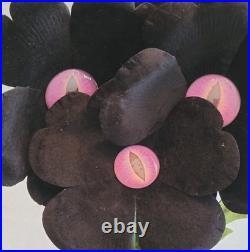Hyde & Eek Halloween Preying Posies & Peeping Poppies Ghoulish Garden Plants