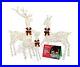 Impressive_Reindeer_Christmas_Decoration_Family_Set_of_3_Large_Lighted_Chri_01_xc