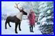 Jet_Creations_Winter_Lifelike_Reindeer_for_Holiday_Party_Decor_Indoor_Outdoor_01_lct