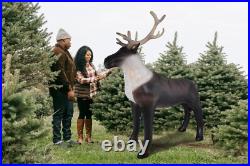 Jet Creations Winter Lifelike Reindeer for Holiday Party Decor, Indoor/Outdoor Jet Creations Winter Lifelike Reindeer for Holiday Party Decor, Indoor/Outdoor
