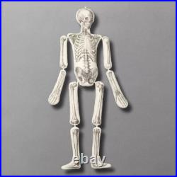 John Derian Target Articulated Skeleton Pillow Long Lost Friend Halloween 63 NWT John Derian Target Articulated Skeleton Pillow Long Lost Friend Halloween 63 NWT