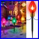 Jumbo_C9_Christmas_Lights_Outdoor_Decorations_Lawn_with_Pathway_Marker_Stakes_8_01_wawd