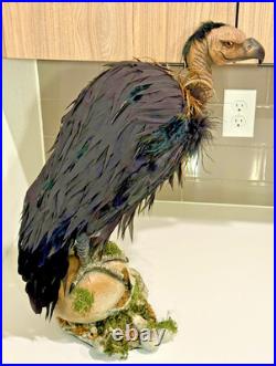Katherine's Collection Midnight Vulture (2020) Halloween Retired Rare 23