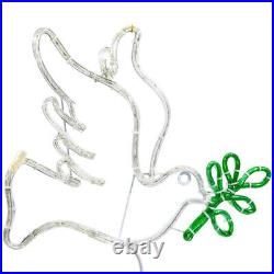 LED Rope Light Dove with 5 Olive Branch Motif Lighted Silhouette Cool White